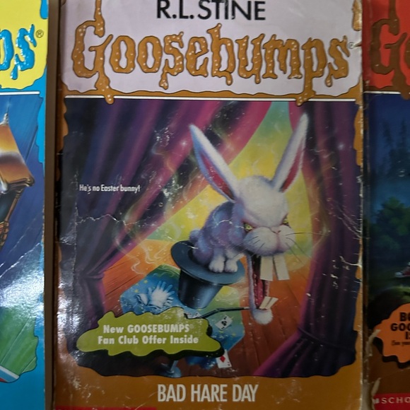 RL Stine, goosebumps books lot of 10 ￼ - Picture 8 of 13